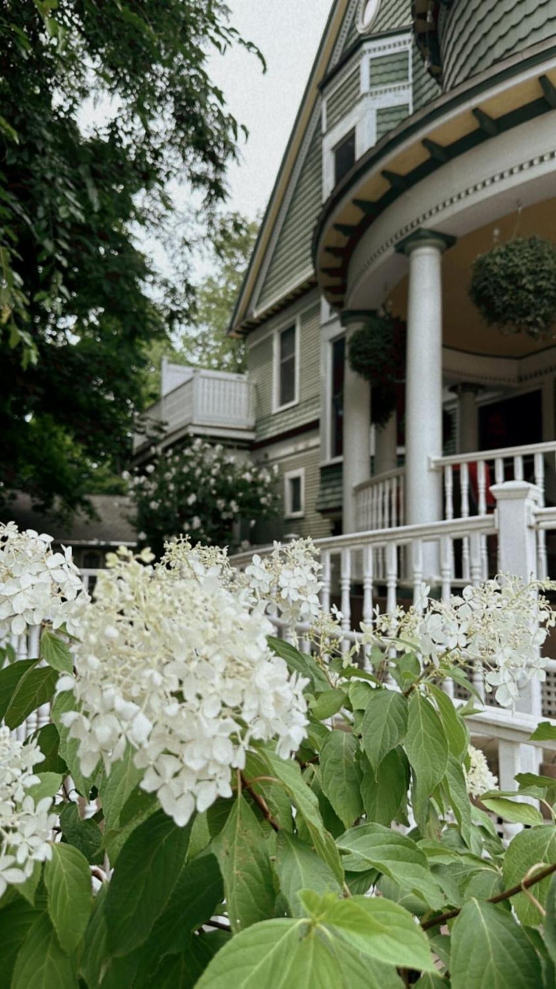 The Ginkgo Tree Bed & Breakfast Mount Pleasant Exterior foto
